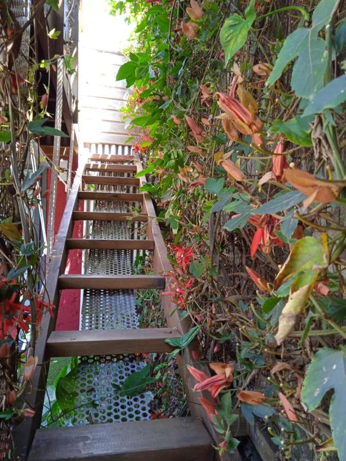 Hotel Le Ti Bali Chambre Saint-Leu Zewnętrze zdjęcie